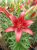 [4047 Tomar No02.JPG]